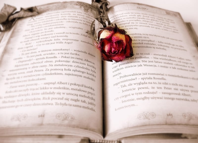 Historical Fiction Books
